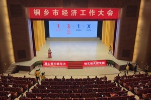 【菊鄉(xiāng)快評】經(jīng)濟(jì)工作大會上，桐鄉(xiāng)市委書記為何重點(diǎn)講巨石的電子布？
