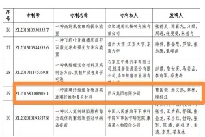 嘉興首金！巨石集團摘得中國專利獎金獎