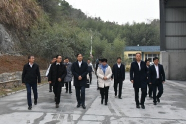 中國建材集團(tuán)黨委書記、董事長周育先調(diào)研巨石九江鈣業(yè)公司